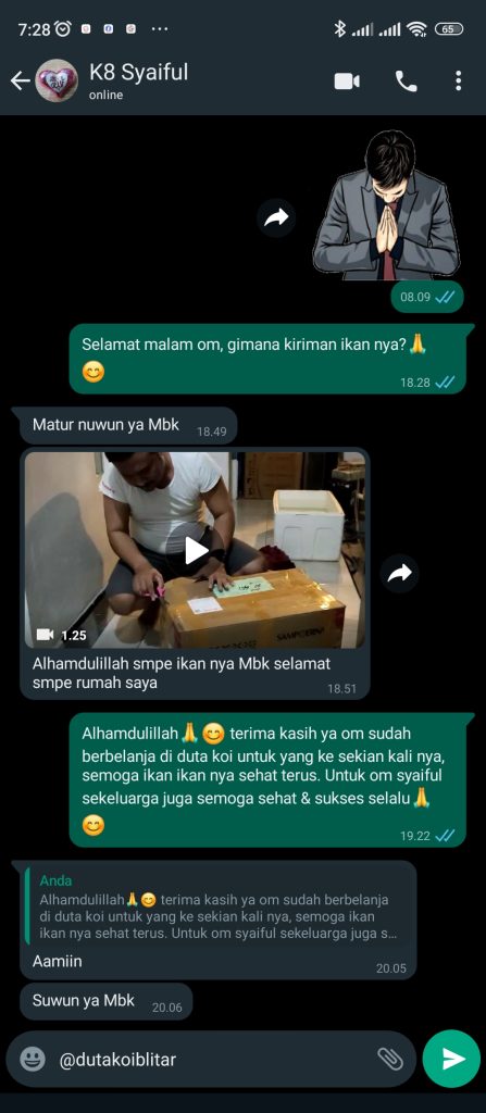 Testimoni Anakan Ikan Koi - Duta Koi Blitar