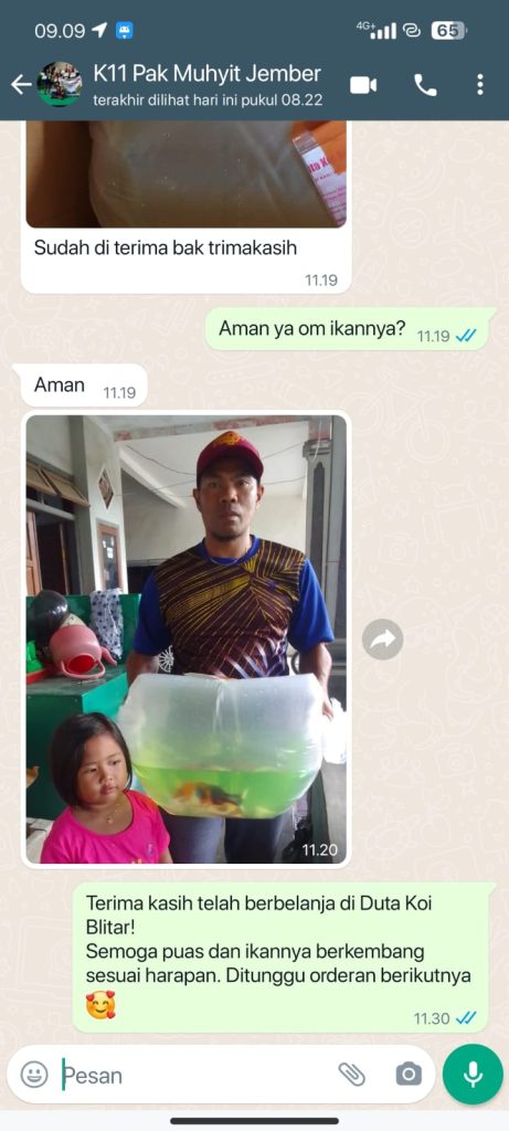 Testimoni Duta Koi